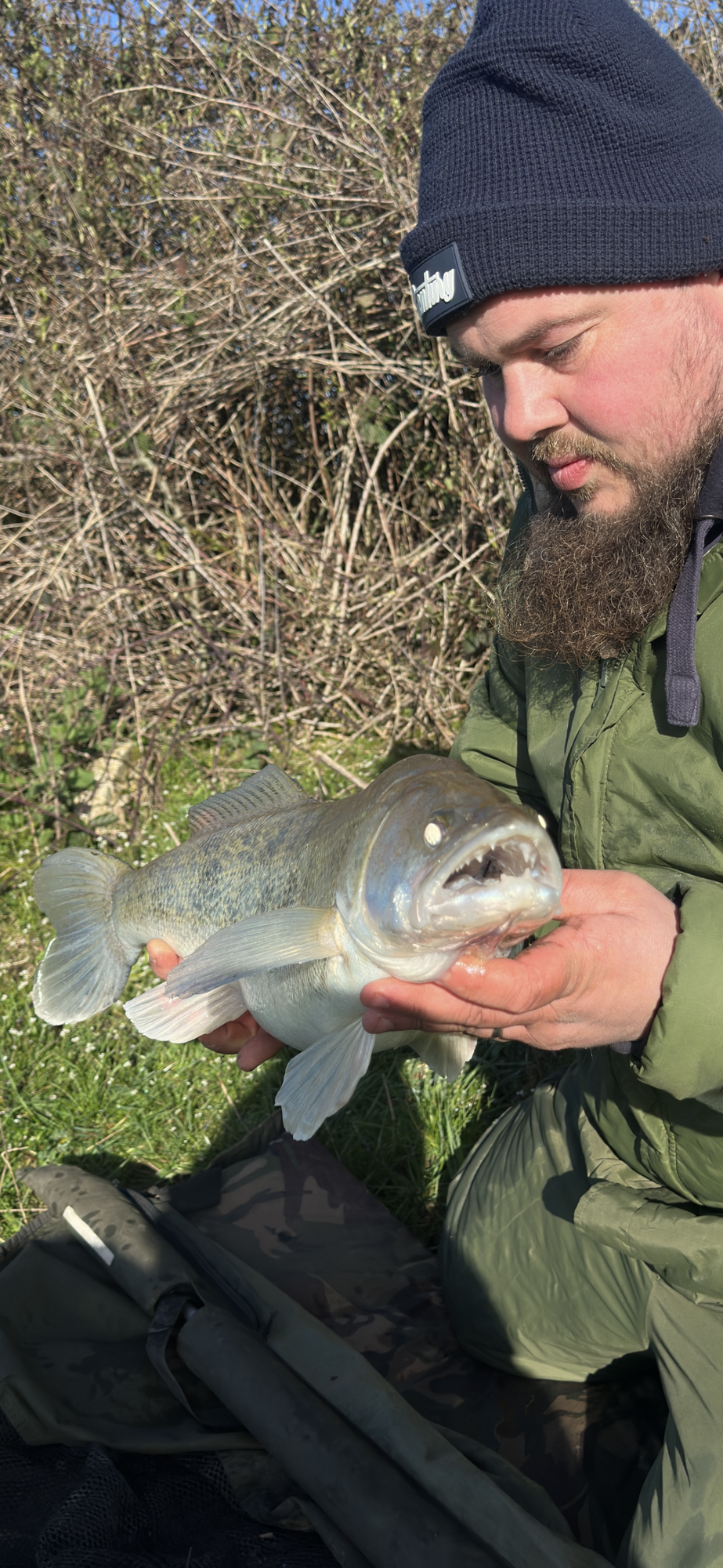 006 – March 2026 – Blog